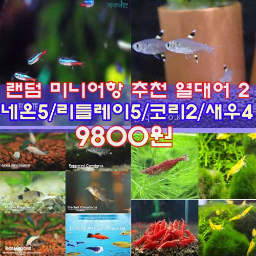 상품 섬네일