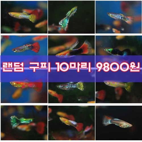 상품 섬네일