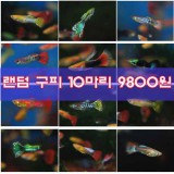 상품 섬네일