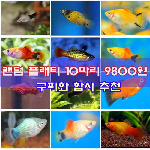 상품 섬네일