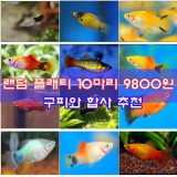 상품 섬네일