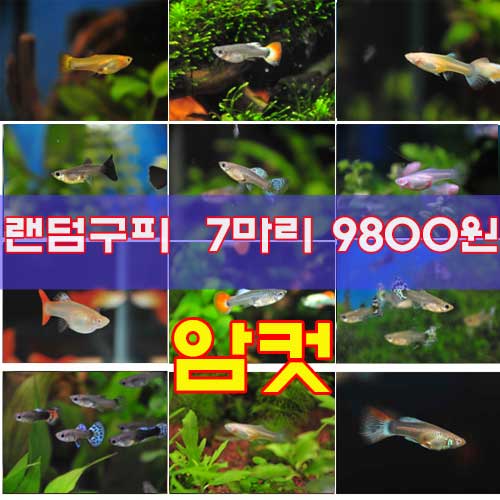 상품 섬네일