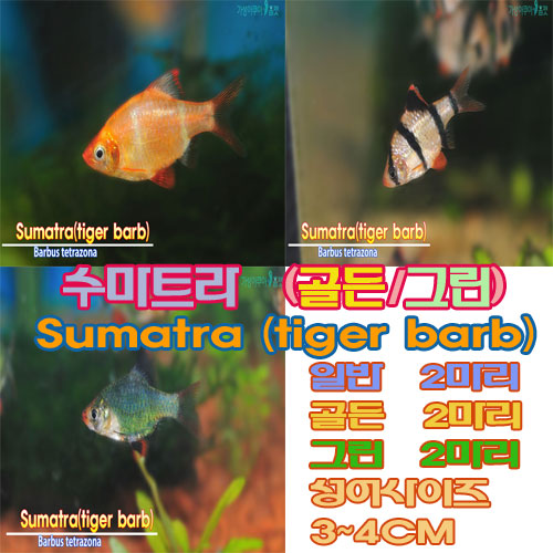 상품 섬네일