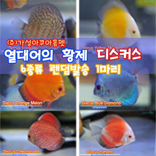 상품이미지