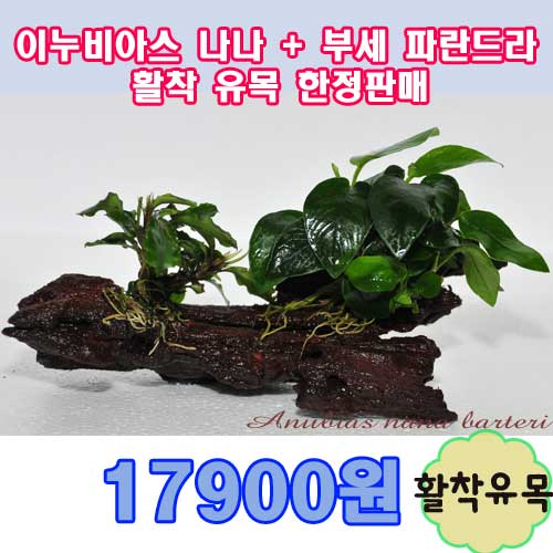 상품 섬네일