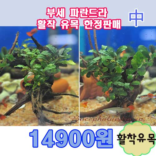 상품 섬네일