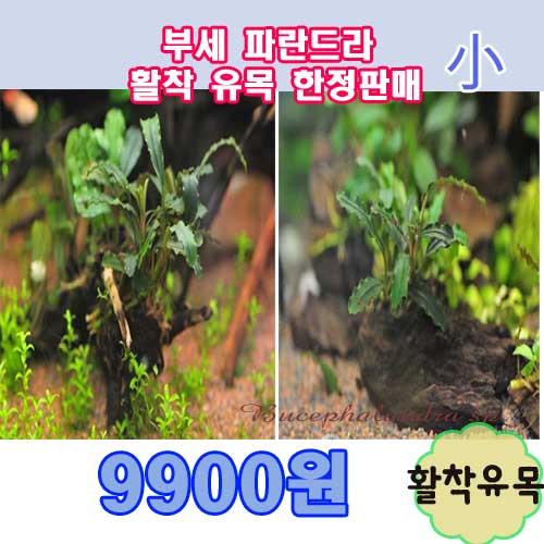 상품 섬네일